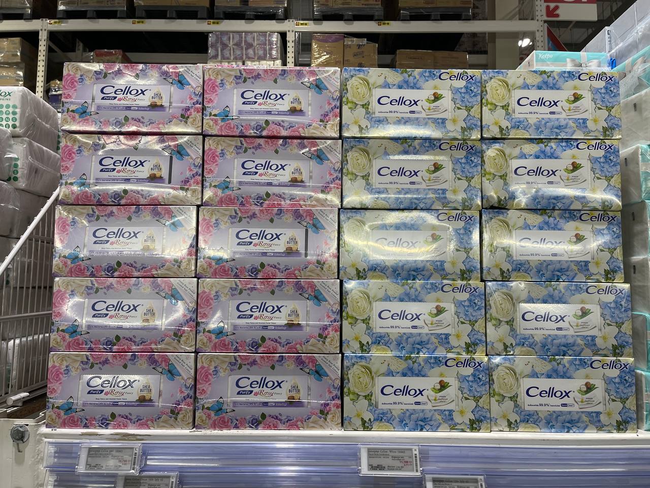 Modern Trade Distribution of Cellox and Hygienist Products by BJC at Makro Cambodia 12 Dec - Image 24